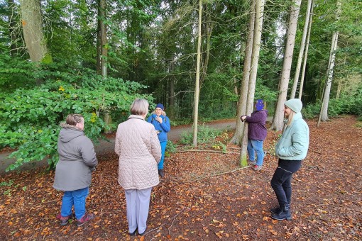 Abschalten und den Wald mit allen Sinnen erleben